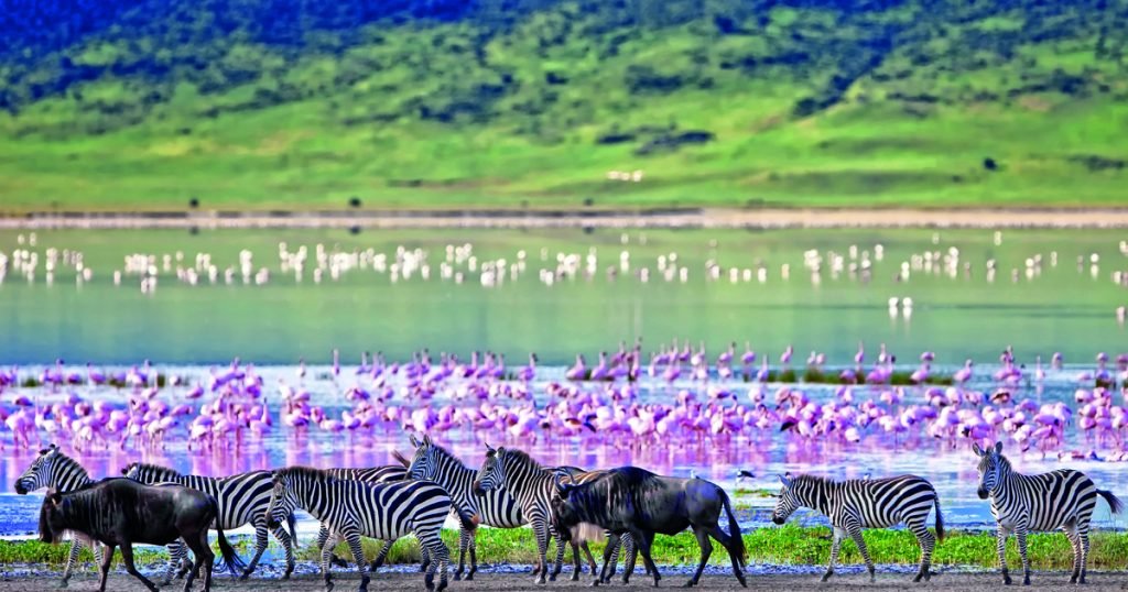 Beautiful Green Landscape and Natural Scenery in Ngorongoro Conservation Area Tanzania