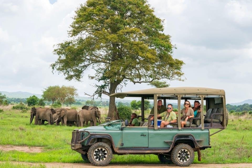 Mikumi National Park Game Drive Safari - LITTLE LION TOURS AND SAFARIS 4x4 Safari Vehicle During a Game Drive in Mikumi National Park Tanzania