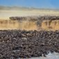 greatmigration 85x85