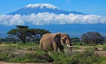 tanzania-mount-kilimanjaro