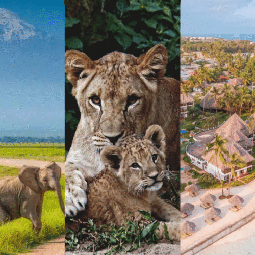 10 Days Family Safari & Zanzibar Holiday