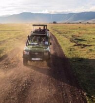 Explore the Breathtaking Ngorongoro Crater on a Professionally Guided Safari with Little Lion Tours  Safaris