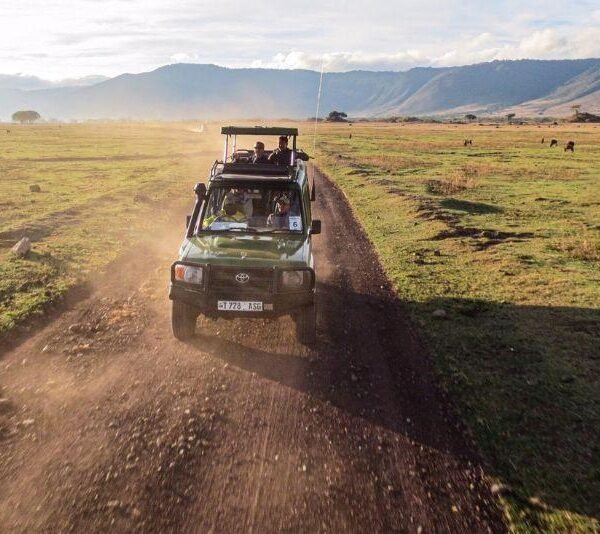 Explore the Breathtaking Ngorongoro Crater on a Professionally Guided Safari with Little Lion Tours  Safaris
