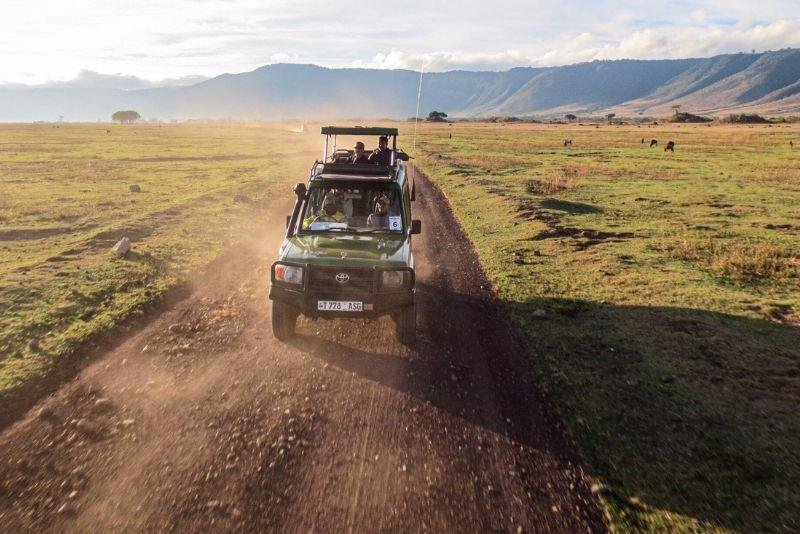 Explore the Breathtaking Ngorongoro Crater on a Professionally Guided Safari with Little Lion Tours  Safaris