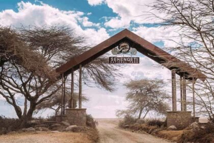 Serengeti - LITTLE LION TOURS AND SAFARIS Tanapa serengeti National Park Entrance