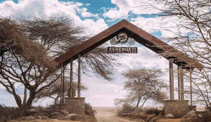 Serengeti - LITTLE LION TOURS AND SAFARIS Tanapa serengeti National Park Entrance
